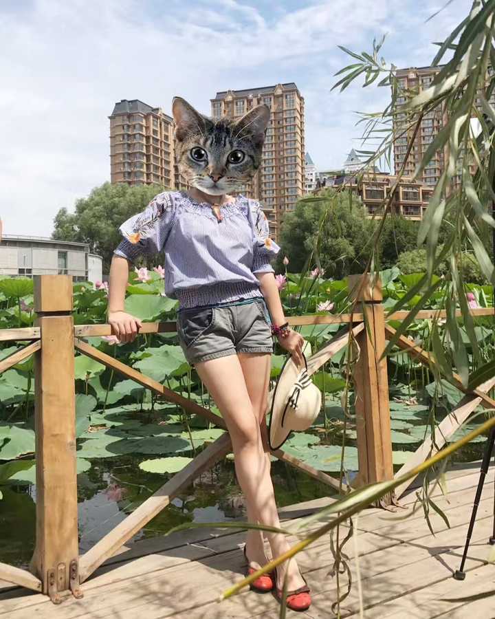 姿势拍照集体照旅游人怎么拍_旅游集体照的姿势大全_六人旅游集体照拍照姿势