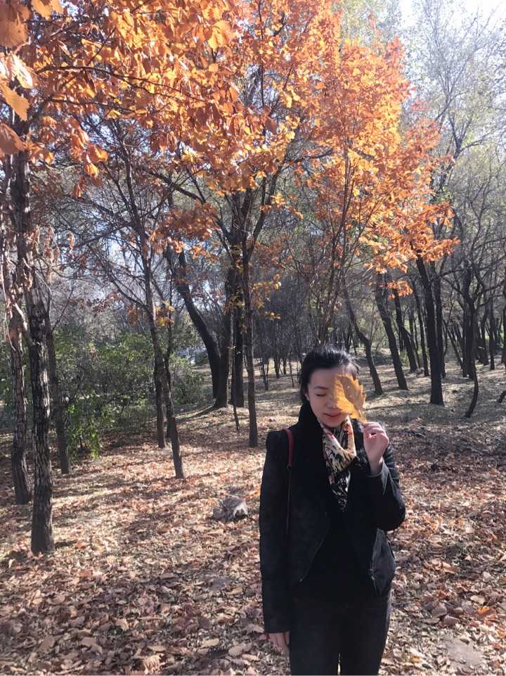 旅游集体照的姿势大全_六人旅游集体照拍照姿势_姿势拍照集体照旅游人怎么拍
