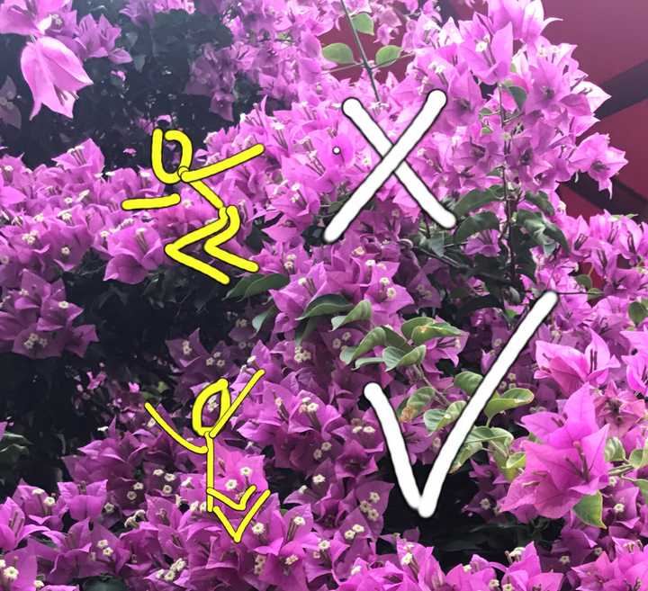 六人旅游集体照拍照姿势_旅游集体照的姿势大全_姿势拍照集体照旅游人怎么拍
