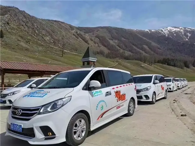 美国租车旅游车型选择原因_美国租车还是买车_美国租车用什么软件
