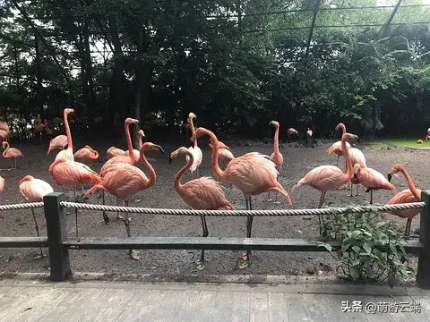 曼谷住哪里方便家庭旅游_曼谷住方便旅游家庭推荐_曼谷住方便旅游家庭有哪些