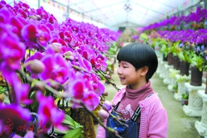 花卉特色旅游品牌排行_特色花卉旅游品牌_花卉特色旅游品牌排行榜