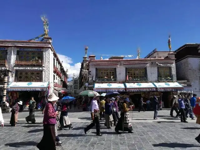 旅游套路购物_旅行团套路_旅游团新套路