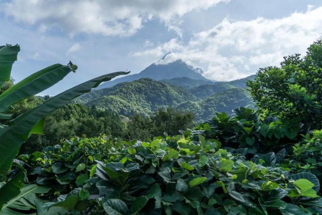 中国丛林探险旅游地区_探险丛林旅游地区中国有几个_丛林探险有哪些地方