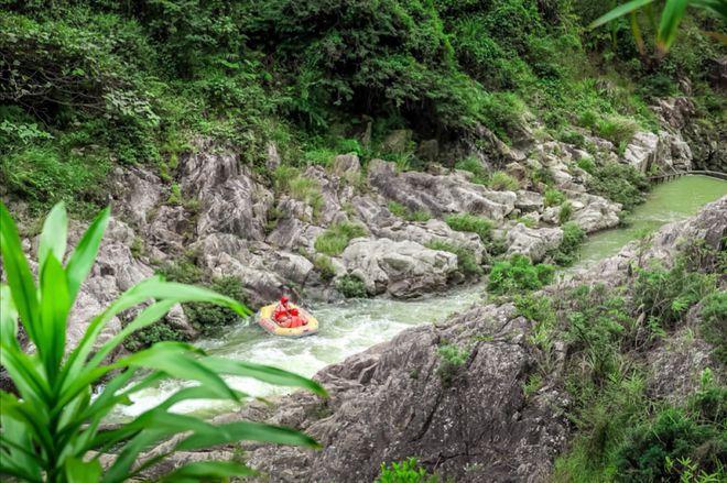 丛林探险有哪些地方_中国丛林探险旅游地区_探险丛林旅游地区中国有几个