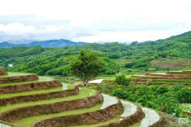 丛林探险有哪些地方_中国丛林探险旅游地区_探险丛林旅游地区中国有几个