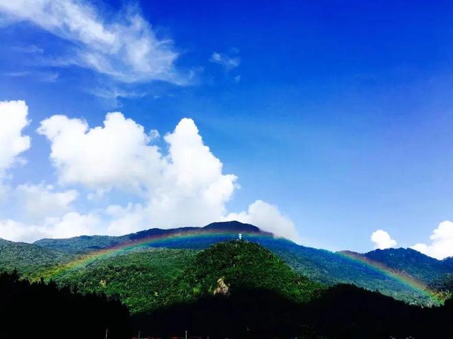 探险丛林旅游地区中国有几个_中国丛林探险旅游地区_丛林探险有哪些地方
