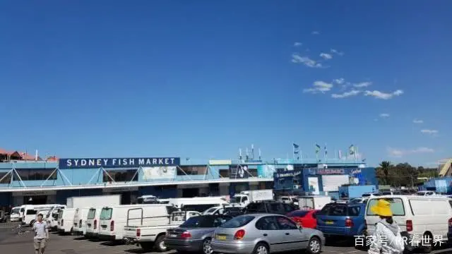 旅游团新套路_旅游套路购物_旅行团套路