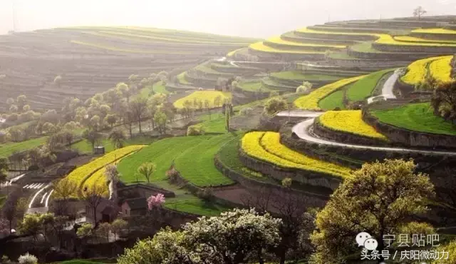 庆阳的旅游景点_景点旅游庆阳路线_庆阳旅游景点大全排名