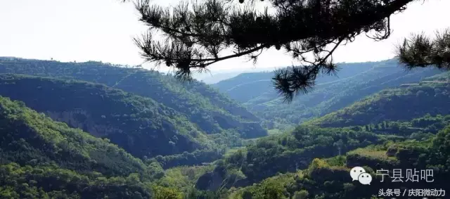 庆阳旅游景点大全排名_庆阳的旅游景点_景点旅游庆阳路线