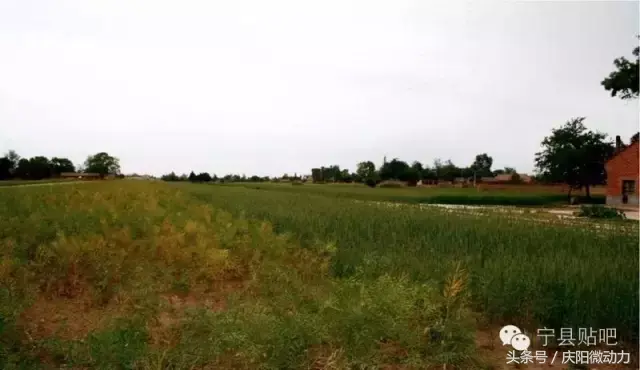 景点旅游庆阳路线_庆阳旅游景点大全排名_庆阳的旅游景点
