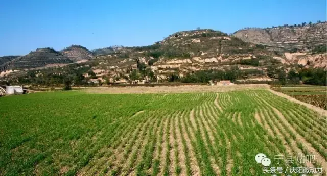 景点旅游庆阳路线_庆阳旅游景点大全排名_庆阳的旅游景点