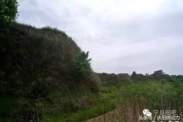 庆阳旅游景点大全排名_景点旅游庆阳路线_庆阳的旅游景点