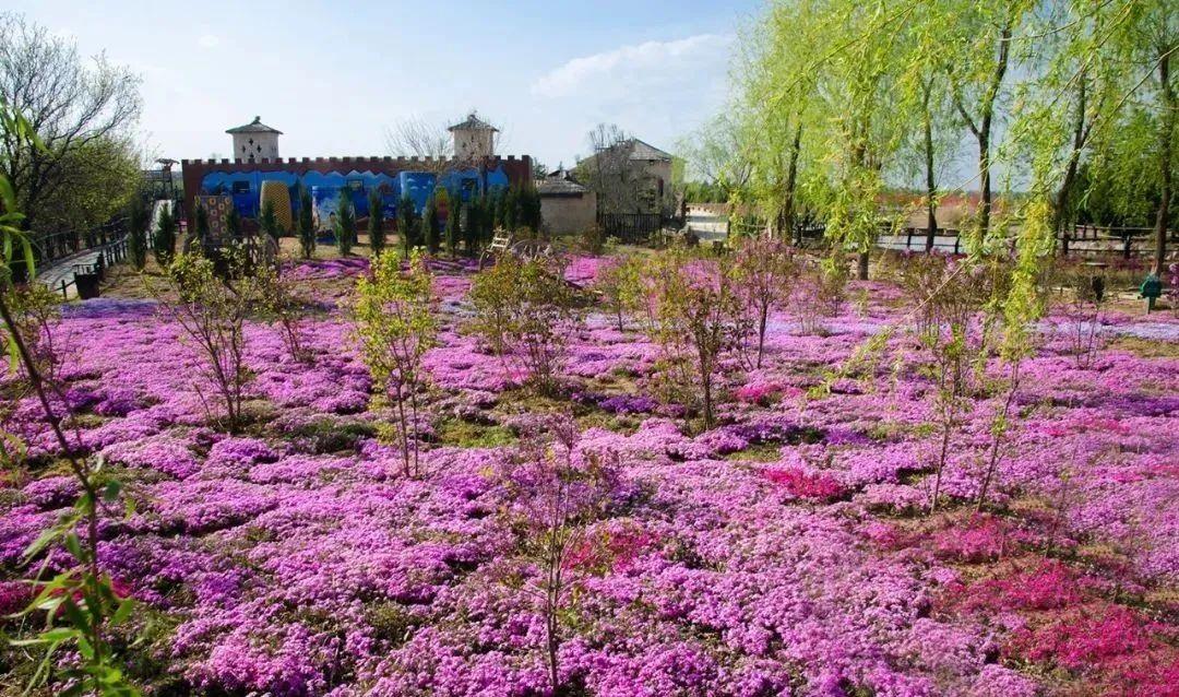 庆阳的旅游景点_庆阳旅游景点大全排名_庆阳的旅游
