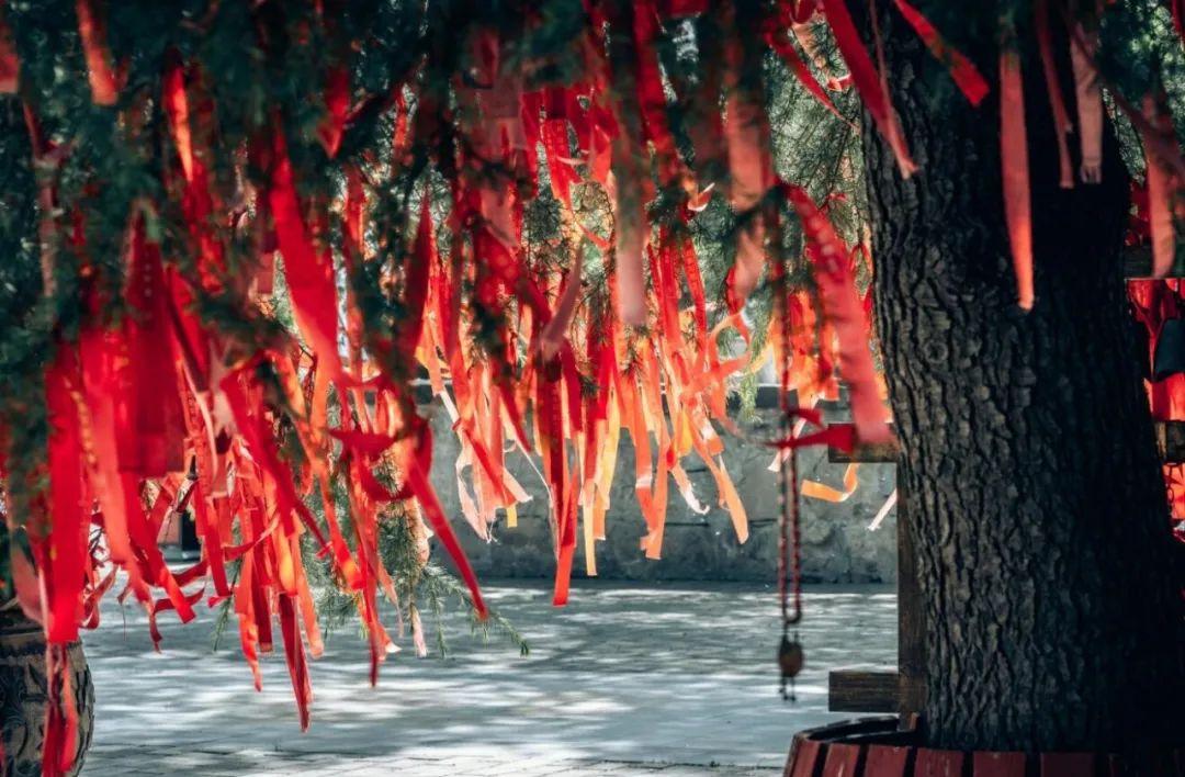 庆阳的旅游景点_庆阳旅游景点大全排名_庆阳的旅游