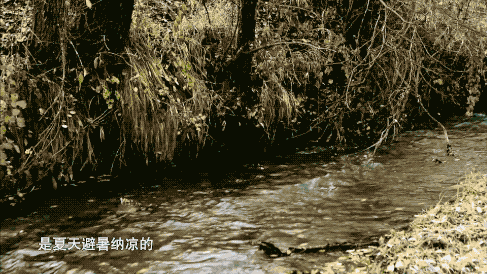 庆阳旅游景区_庆阳的旅游景点_庆阳的旅游