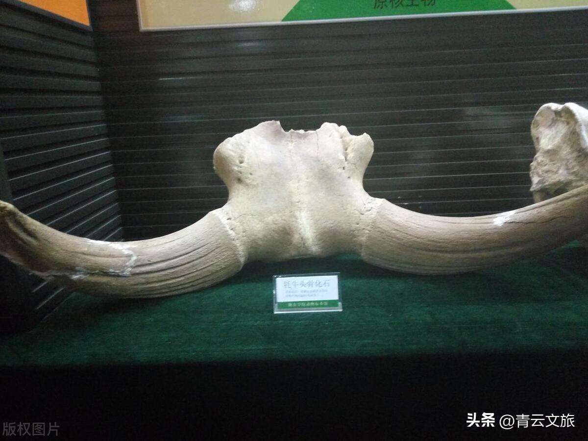 庆阳旅游景点大全排名_庆阳的旅游景点_景点旅游庆阳路线