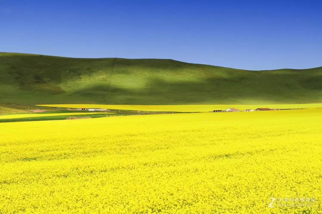 敦煌线路旅游甘南线路图_敦煌线路旅游甘南怎么走_甘南敦煌旅游线路