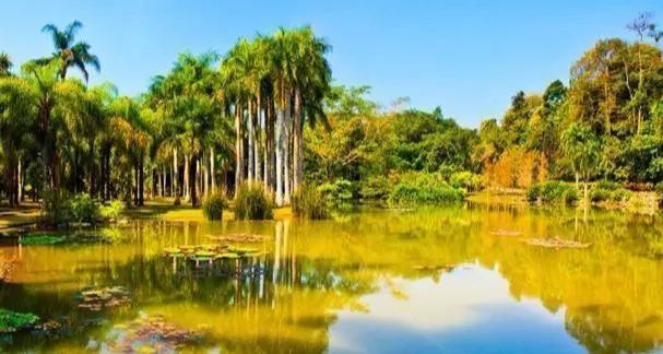 怒江的旅游景点_怒江旅游景点大全自驾_怒江有什么旅游景点