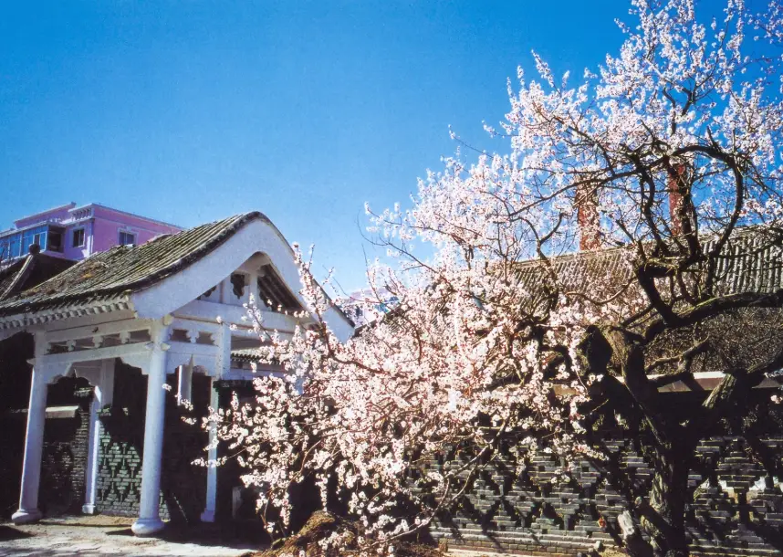 吉林松原旅游景点_松原旅游攻略必玩的景点_松原草原旅游景点大全