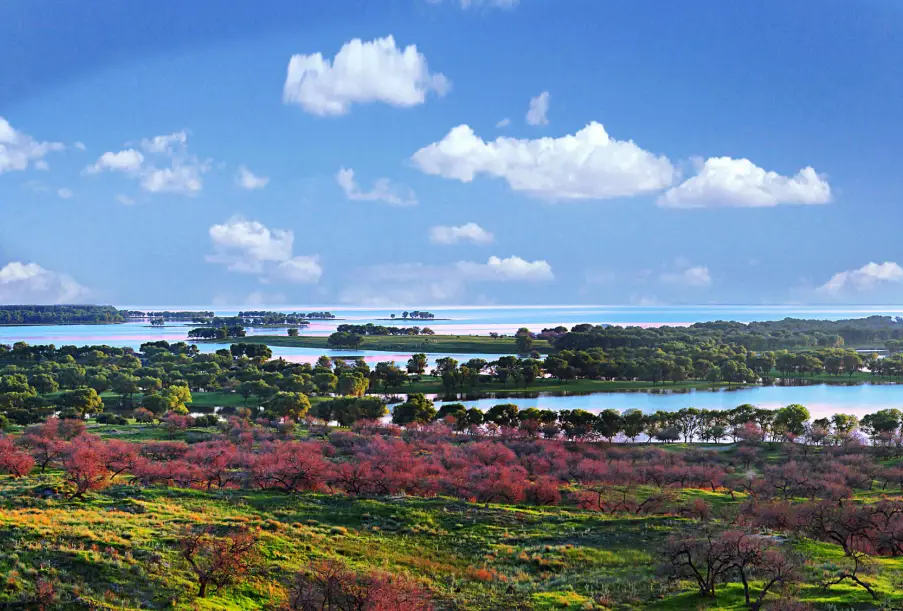 松原草原旅游景点大全_吉林松原旅游景点_松原旅游攻略必玩的景点