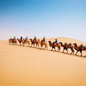 中卫旅游景点十大排名_中卫好玩的旅游景点_中卫旅游景点