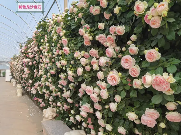 县城旅游推荐路线_县城旅游推荐理由_县城旅游推荐