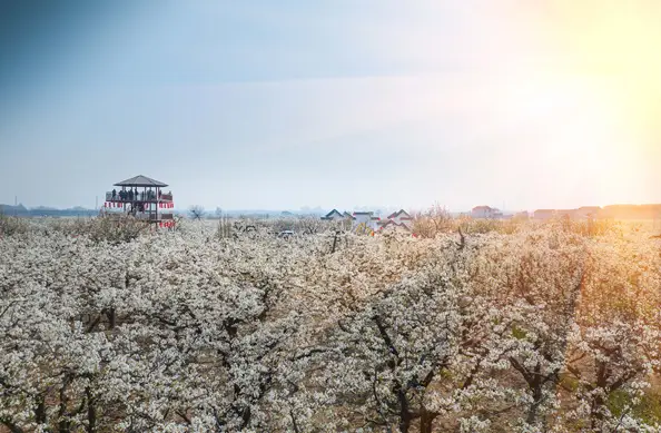 县城旅游推荐理由_县城旅游推荐路线_县城旅游推荐