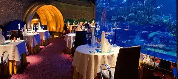 阿布扎比的景点_阿布扎比旅游特色_阿布扎比旅游攻略