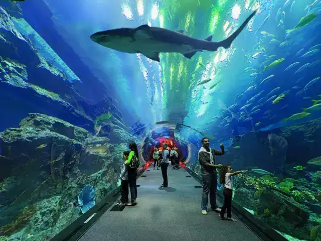 阿布扎比旅游特色_阿布扎比旅游攻略_阿布扎比的景点