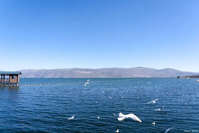 大理洱海旅游攻略必去景点_大理旅游自由洱海行程路线_大理洱海自由行旅游