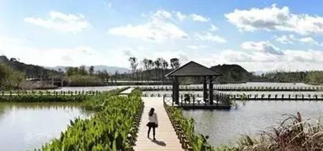 昆明周边14个天然氧吧，养眼润肺就去这！