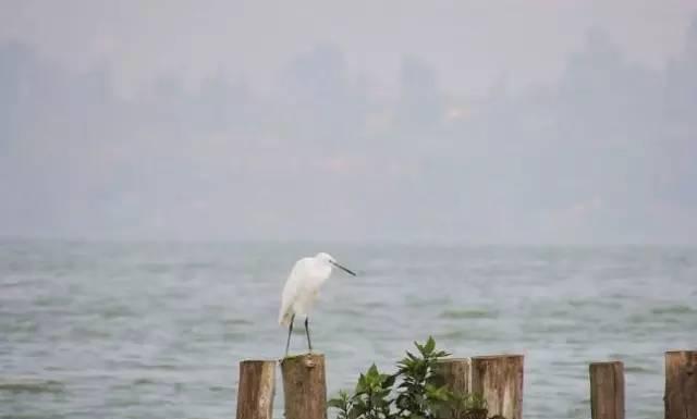 昆明周边14个天然氧吧，养眼润肺就去这！