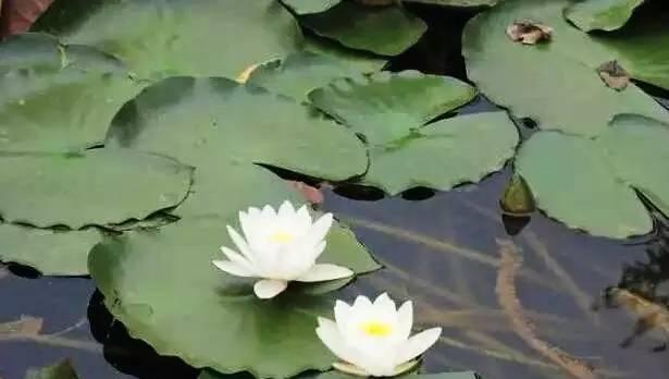 昆明周边14个天然氧吧，养眼润肺就去这！