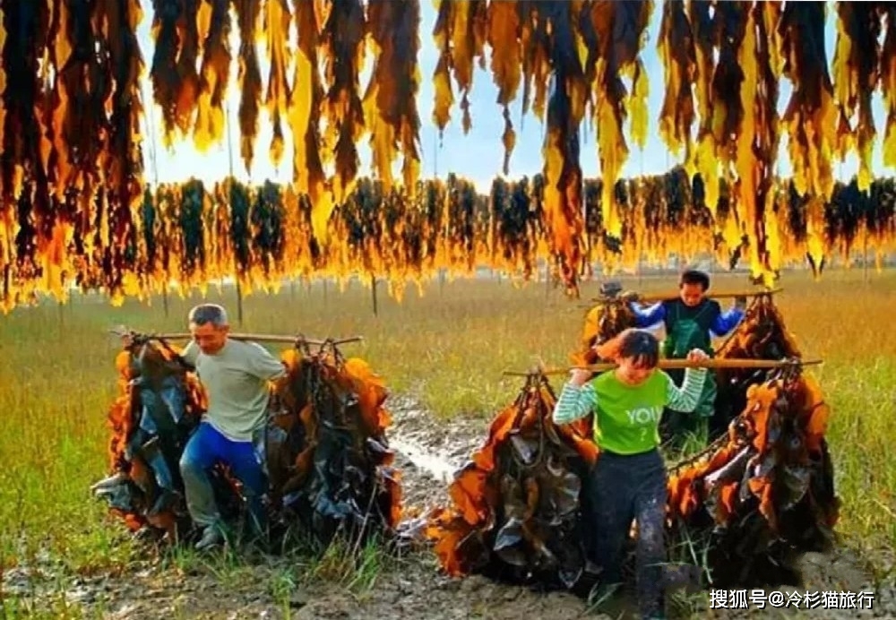 县城旅游推荐路线_县城旅游推荐_县城旅游景点